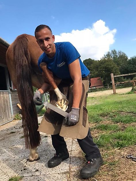 gediplomeerd hoefsmid voor het vakkundig bekappen en beslaan van uw paard of pony - Hoefsmederij Tyrell Evora