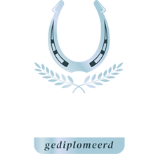 Gediplomeerd hoefsmid Tyrell Evora werkt met geduld en liefde voor het paard - Hoefsmederij Tyrell Evora