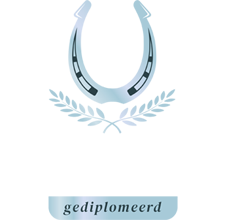 Gediplomeerd en gecertificeerd hoefsmid in Groningen, Drenthe, Friesland en in Noord-West Duitsland - Hoefsmederij Tyrell Evora